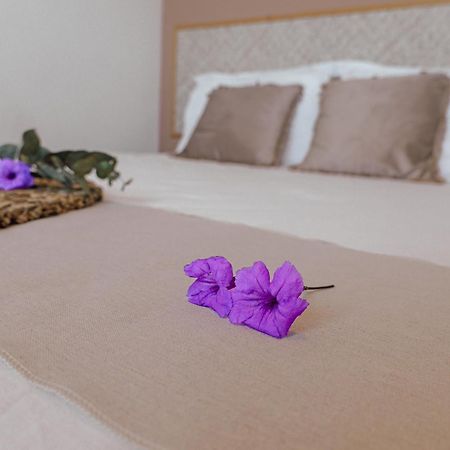 Ti Kaz Des Roches Villa Saint-Louis Ngoại thất bức ảnh