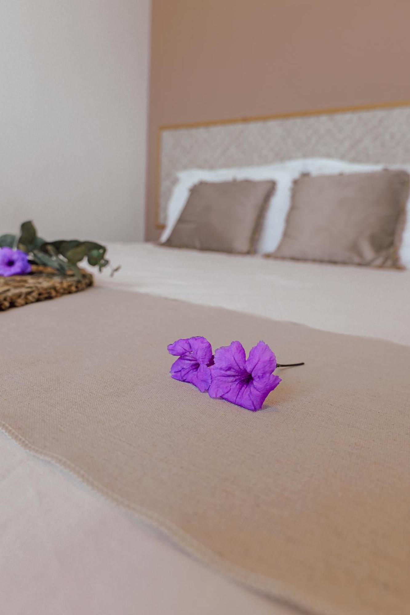 Ti Kaz Des Roches Villa Saint-Louis Ngoại thất bức ảnh